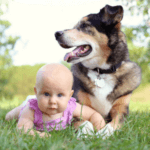 dog and baby in park